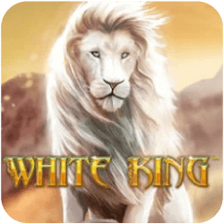 White King by Pussy888